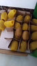 佳沛（zespri）新西兰  阳光金奇异果16粒礼盒经典果单果约 77-103g 水果 猕猴桃 实拍图