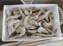 虾有虾途国产青岛大虾白虾青虾基围虾鲜虾冷冻生鲜虾类鲜活特大海捕整箱装 14-16厘米 3斤(净重) 实拍图