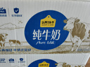 认养一头牛纯牛奶250ml*15盒 学生早餐纯奶整箱一提装/新老包装混发 实拍图
