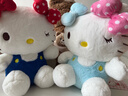 Hello Kitty三丽鸥毛绒玩具布偶猫咪玩偶布娃娃抱枕生日礼物女生 凯蒂猫公仔 实拍图