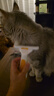 憨憨乐园宠物狗狗猫咪梳子打薄梳去狗猫毛除毛器脱毛刮梳毛刷去浮毛神器大 实拍图