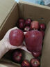 于小乖甘肃天水花牛粉面苹果婴儿刮泥老人孕妇粉糯红蛇苹果(需放粉) 带箱9.5斤中果（净重8.5斤） 实拍图