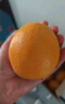 京觅江西赣南脐橙 5斤 单果220g+ 新鲜水果生鲜应当季橙子 源头直发 实拍图