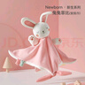 BABYGREAT婴儿安抚巾玩偶可入口睡眠手偶婴儿毛绒玩具睡觉神器周岁生日礼物 安抚巾丨兔兔菲比【含啃咬条】 实拍图