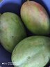 京鲜生 攀枝花凯特芒果 净重4.5斤 带箱5斤 单果400g+ 生鲜水果源头直发 实拍图