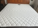 ESC床垫15cm厚席梦思薄款独立弹簧床垫1.8x2米天然乳胶椰棕家用硬垫 厚10cm适中：防螨面料+独立弹簧 1.8米*2.0米 实拍图