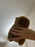 卡皮巴拉毛绒玩具公仔儿童生日礼物女孩情人节礼物水豚毛绒玩偶 卡皮巴拉公仔 1个装（新人专享） 实拍图