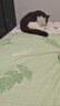 百丽丝水星家纺出品全棉床笠纯棉床单床笠罩单件全包床笠床垫保护套 实拍图