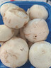 千牛优福新鲜白蘑菇500g 食用菌菇网红烤蘑菇食材 现摘双孢菇煲汤蔬菜顺丰 250g 实拍图