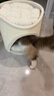 兽牌树洞剑麻桶猫窝猫抓板一体剑麻猫爬架双层大猫屋半封闭式冬季保暖 燕麦奶白丨双层剑麻桶 实拍图
