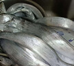 七条船舟山带鱼新鲜 野生小眼睛海钓带鱼 刀鱼 整条 海鲜水产 生鲜 鱼类 1500g（5-6两/条）共5-6条 实拍图