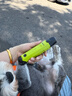 九钰Joyu九钰宠物磨甲器狗狗指甲钳猫咪电动脚趾修剪器大型犬通用剪刀 N60-果绿色（全宠通用） 实拍图