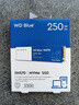 西部数据（WD）sn580/sn5000/sn770/sn7100 NVME协议 M.2 2280 PCle4.0台式机笔记本游戏 ssd固态存储硬盘 蓝盘SN570  250G 实拍图