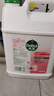 滴露（Dettol）洗手液补充装大桶消毒滋润5L 儿童家庭装杀菌护手 实拍图