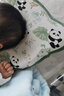 IPOOSI婴儿定型枕新生儿宝宝0-6个月以上睡圆头矫正头型透气硅胶枕 【云感柔护Pro-恒透呼吸面料】枕芯+枕套 0-2岁 竹影熊猫 实拍图