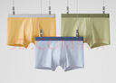 蕉内（Bananain）银皮301P莫代尔内裤男士棉裆7A抗菌透气运动四角短裤头四季款3件 石南蓝+果青+岩木黄 3条 3XL 实拍图