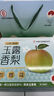 隰县玉露香梨 【顺丰现货】整箱香梨当季水果山西隰县小西天特产 孕妇水果送礼 9粒中果（净重约4.5斤）75+mm 实拍图