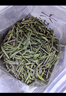 音朗 茶叶绿茶 明前特级安吉白茶 2025新茶嫩芽白叶一号茶叶礼盒500g 实拍图