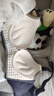 梦黛锦2件装蕾丝乳胶内衣聚拢无钢圈性感调整型收副乳文胸胸罩 樱花紫+莫迪蓝（2件装） 34/75AB 实拍图