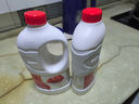 蒙牛红枣风味酸牛奶1kg 活性乳酸菌大桶家庭装低温酸奶 2桶（泡沫箱+冰袋） 实拍图