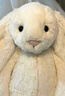 Jellycat害羞乳白色邦尼兔动物毛绒玩偶安抚玩偶娃娃生日新婚礼物 害羞乳白色邦尼兔 Medium 实拍图