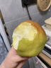 爱鲜摘农场正宗山西玉露香梨5/10斤梨子新鲜水果顺丰礼盒当季整箱香酥梨雪梨 7A 精选果 |单果200-250g【很甜】 5斤装【爆款主推-80%选择】巨划算 实拍图