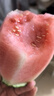 【夏季专属】正宗手撕西瓜2k小糖丸西瓜薄皮西瓜新鲜采摘产地直发 西瓜 小糖丸带箱4-5斤(1-2粒) 实拍图