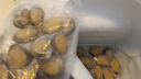 森农乐鲍鱼鲜活冷冻特大生鲜大号贝类海鲜水产超大即食佛跳墙食材鲍鱼汁 10-13只/斤【大号鲍2斤 实发20-24只】 实拍图