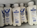 兰格格 草原酸奶 活菌1号258g*6 生鲜低温酸牛奶 0蔗糖酸奶 源头直发 实拍图