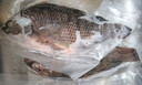 环球水产三去罗非鱼2.8斤/共4条 免处理去鳞去鳃去内脏 鱼类 烤鱼烧烤食材 实拍图