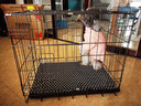 腆宠狗笼猫笼 狗笼子中小型犬带厕所幼犬狗窝猫笼子大号家用围栏兔笼 实拍图