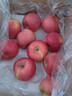 佳农 烟台红富士苹果 净重10斤 一级果 单果重160g+  生鲜水果礼盒 实拍图
