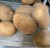 播州鲜新鲜土豆贵州特产高山马铃薯土豆黄皮黄心土豆农家自种蔬菜 黄皮土豆2斤 （净重） 实拍图