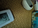 哈曼之音2025新款不入耳骨传导开放式蓝牙耳机骨传导蓝牙耳机真无线运动耳夹式无线超长续航X51 肤色【软硅胶佩戴不漏音】电量数显 实拍图