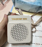 得胜（TAKSTAR）E188 升级版小蜜蜂扩音器 教学专用小巧便携扩音器户外上课宝地摊小喇叭导游喊话器 米黄色 实拍图