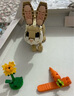 乐高（LEGO）积木拼装31162 可爱的兔子男孩女孩儿童玩具生日礼物 实拍图