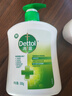 滴露（Dettol）洗手液松木500g瓶 健康抑菌消毒非补充装 儿童家庭用清爽去油 实拍图