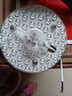 雷士（NVC） led灯盘吸顶灯替换灯芯磁吸灯板灯管灯泡灯条24瓦暖白光4000K 实拍图