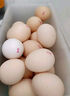 耕果妙林下散养土鸡蛋20枚初生蛋1.6斤 农家柴鸡蛋包邮 源头直发 实拍图