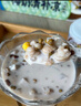 三只松鼠椰奶清补凉200gx8罐水果罐头饮料椰子汁代餐糖水礼盒节日团购送礼 实拍图