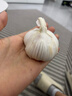 巴比小猪奶黄包300g*2包共12只儿童早餐可爱卡通手工包馒头生鲜面点 实拍图