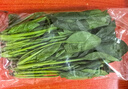 【24小时菜】大菠菜300g 实拍图