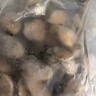 滋百尚冷冻生蚝肉 鲜活手剥牡蛎肉 海蛎子 火锅食材海鲜生鲜 冷冻大号生蚝肉 净重2斤 实拍图