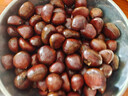 丹东新鲜生板栗野生大板栗现摘新货糖炒油栗毛板栗仁锥栗子整箱 精选装5斤【净重4-4.5斤】 实拍图