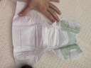 babycare金山茶花婴儿拉拉裤mini装L码20片(9-14kg)尿不湿【新老混发】 实拍图