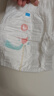 好奇（Huggies）皇家小龙裤拉拉裤L76片(9-14kg)尿不湿【30倍爆吸】 实拍图