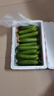 京鲜生 山东荷兰水果黄瓜净重5斤 单果70g+ 健康轻食早餐 源头直发 实拍图