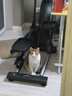 舒华椭圆机家用客厅型智能椭圆仪小户型踏步机高端健身器材太空漫步机 插电款-全智能旗舰款-E910 实拍图