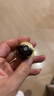 L'OR咖啡胶囊芮斯萃朵5.2g*10粒 原装进口 阿拉比卡 意式浓缩黑咖lor 实拍图