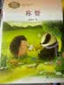 风娃娃 二年级上册 常瑞著 王林主编 人教版课文作家作品系列 语文教材配套读物 同名作品收入中小学语文教科书 实拍图